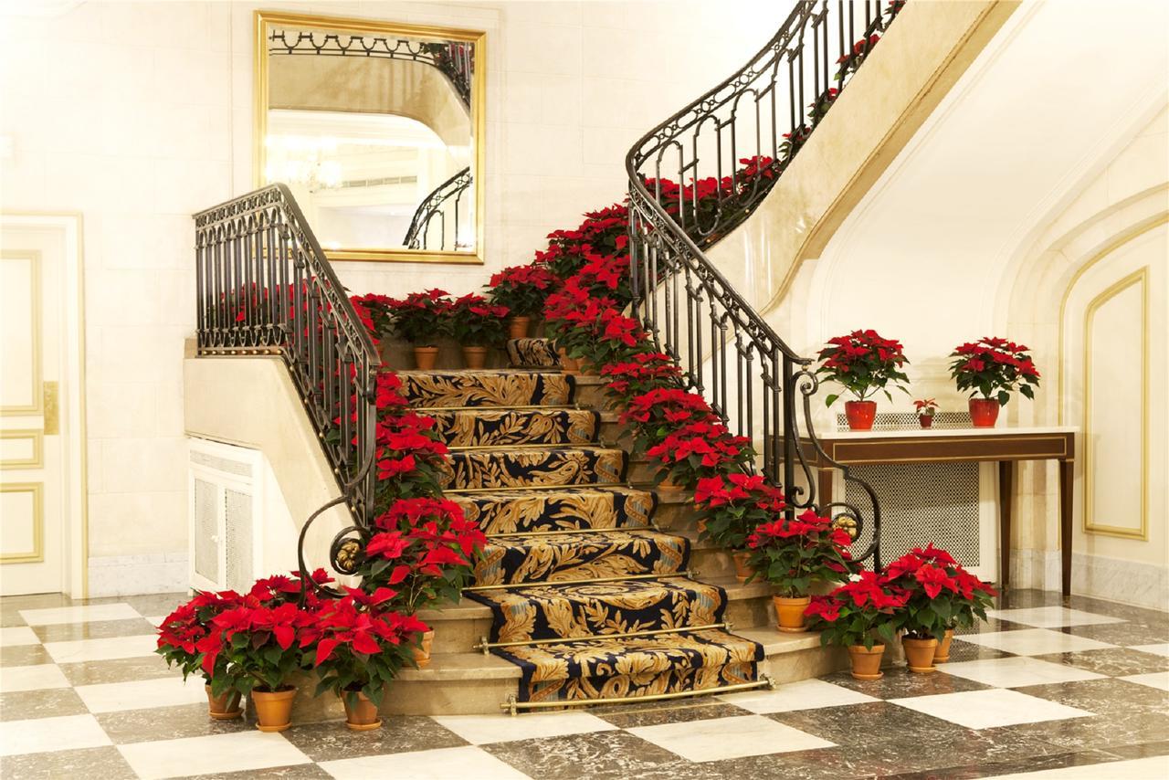 布鲁塞尔广场酒店  外观 照片 The photo depicts an elegantly designed staircase adorned with decorations. The staircase has a luxurious carpet runner featuring an ornate pattern. Surrounding the steps are vibrant red poinsettias in decorative pots, adding a festive touch. The sta